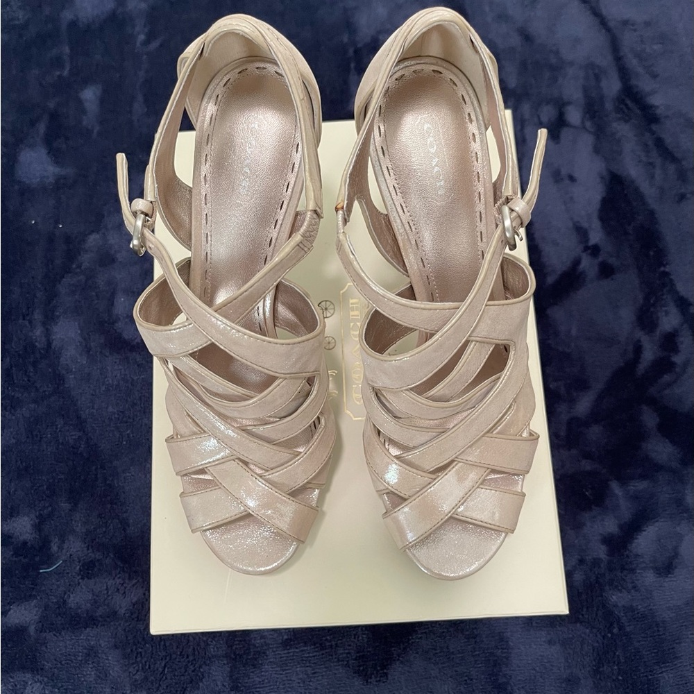 Platinum COACH heels